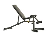 Muscle Dynamics XB600 Utility Bench