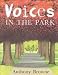 Voices in the Park