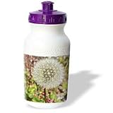 Patricia Sanders Flowers - Dandelion Wishing Flower Floral Photography Nature Flower Photography - Water Bottles