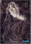 Luis Royo ~ Contemplation ~ Textile Fabric Poster ~ 30 x 40 Inches