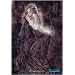 Luis Royo ~ Contemplation ~ Textile Fabric Poster ~ 30 x 40 Inches