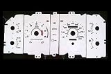 G2 Reverse Night Glow gauge faces (Ford Mustang car accessory)