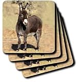 Farm Animals - Miniature Donkey - Coasters