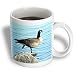Canada Goose Photographed by Angelandspot - 11oz Mug