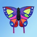 Exotic Butterfly