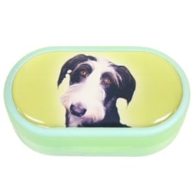 Pet Contact Lens Cases