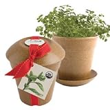 Rice Hull Garden - Organic Oregano