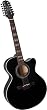 Takamine EG523SCB-12 - 12 String Acoustic-Elec Guitar - Black