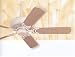 Royal Pacific, 1031TW 52in. Ultra Pitch Monsoon Ceiling Fan, Textured