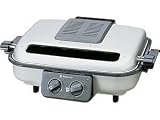 Review  NF-RT300N / National Electric Fish Fryer