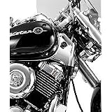 04-10 YAMAHA XVS65A: SHOW CHROME NECK COVERS - CHROME by Show Chrome