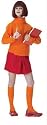 Scooby- Doo tm Velma tm Adult one size fit costume up to Dress size 14"