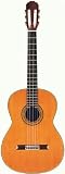 Takamine TH5 Hirade Concert Classic Acoustic-Electric Guitar w/ Case