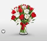 Tulip - Flowers Of Liberty
