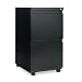 Two-Drawer Mobile Pedestal File with Full-Length Pull, Black, 19-1/4" Deep AELPB542819BL