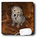 golden_retriever8golden retriever - Dogs Golden Retriever Golden Retriver Puppy Mouse Pads