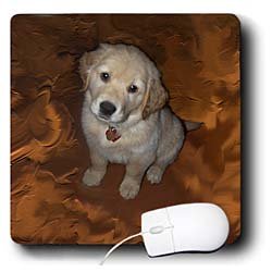 image link -  - B002I89A4O