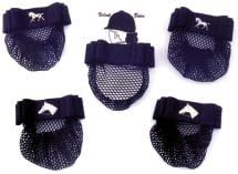 Show Bow w/ Dressage Horse