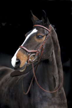 Rambo by Horseware Micklem Competition Bridle with Reins