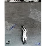 Stan Musial Catch Against the Wall 16x20 Photo