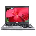 Toshiba Satellite L305-S5920 Pentium Dual-Core T3400 2.16GHz 2GB 160GB DVD&plusmn;RW DL 15.4" Vista Home Basic