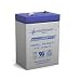 Power-Sonic Genuine PS-640 6V 4.5 Ah Rechargeable SLA Battery (F1)