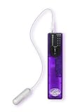 I Vibe Controller with Egg Grape