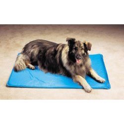 Canine Cooler Large Pet Bed 36"x48"