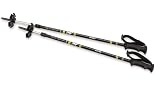 Atlas 2 Piece Snowshoe Poles
