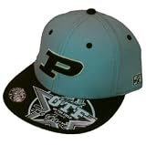 Purdue Baseball Hat Cap On Field Gray The Game (8)