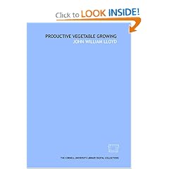 Productive vegetable growing