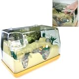 Bug and Frog Habitat