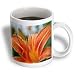 Macros Day Lily Macros of orange flower - 15oz Mug