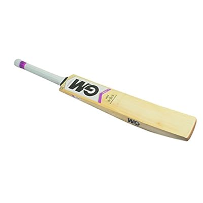 GM Mogul F2 404 English Willow Cricket Bat SH