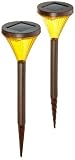 Stellar 1100 2-er Set Rost