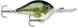 Rapala Dives-To 06 Fishing Lure