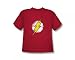 Search : The Flash Logo Vintage Style DC Comics Superhero Youth T-Shirt Tee