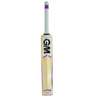 GM Mogul F2 404 English Willow Cricket Bat SH