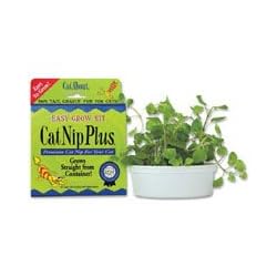 CatNip Plus - brings live fresh catnip indoors