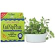 CatNip Plus - brings live fresh catnip indoors