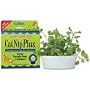 CatNip Plus - brings live fresh catnip indoors
