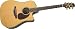 Takamine Supernatural Series TAN15C Dreadnought Acoustic Electric Guitar, Natural with Case