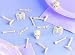 Skeleton Parts Table Sprinkles Decoration