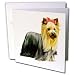 yorkshire terrier - Dogs Yorkshire Terrier - Yorkshire Terrier - Greeting Cards-12 Greeting Cards with envelopes
