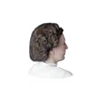Impact Latex Free Nylon Hairnet