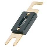 Fuse 150 amp Anl-Gold 2 Pack Case Pack 6