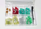 ATM Mini Fuse Assortment