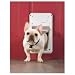 PetSafe Electronic Smart Door
