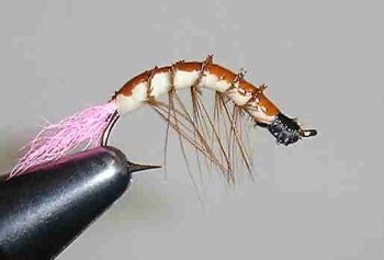 Michigan Wiggler Hot Tail Pink #8