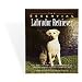 The Essential Labrador Retriever